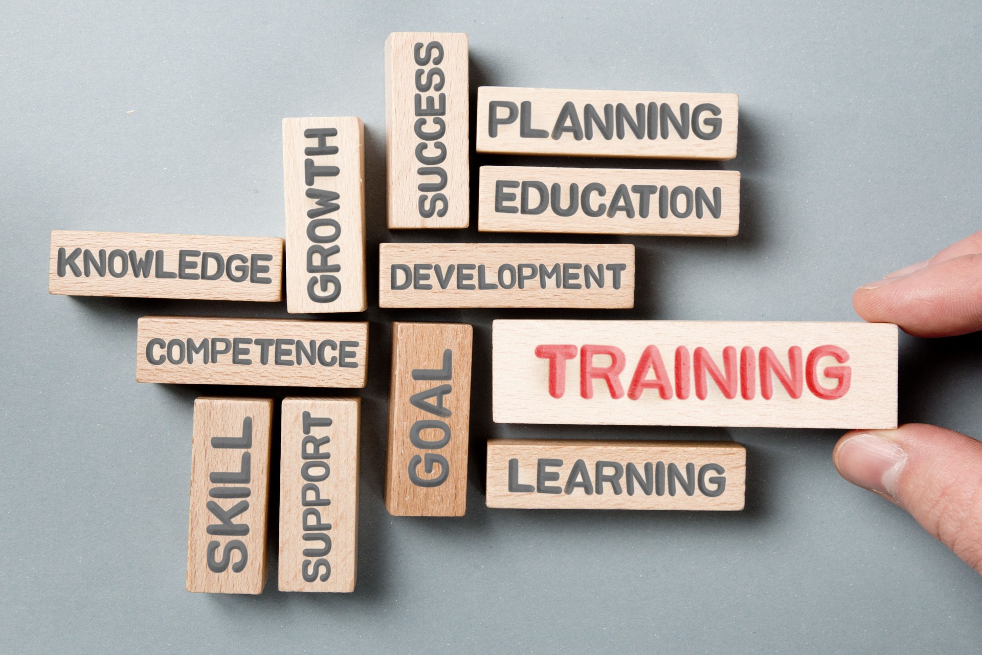 Wooden Blocks with Training Concept